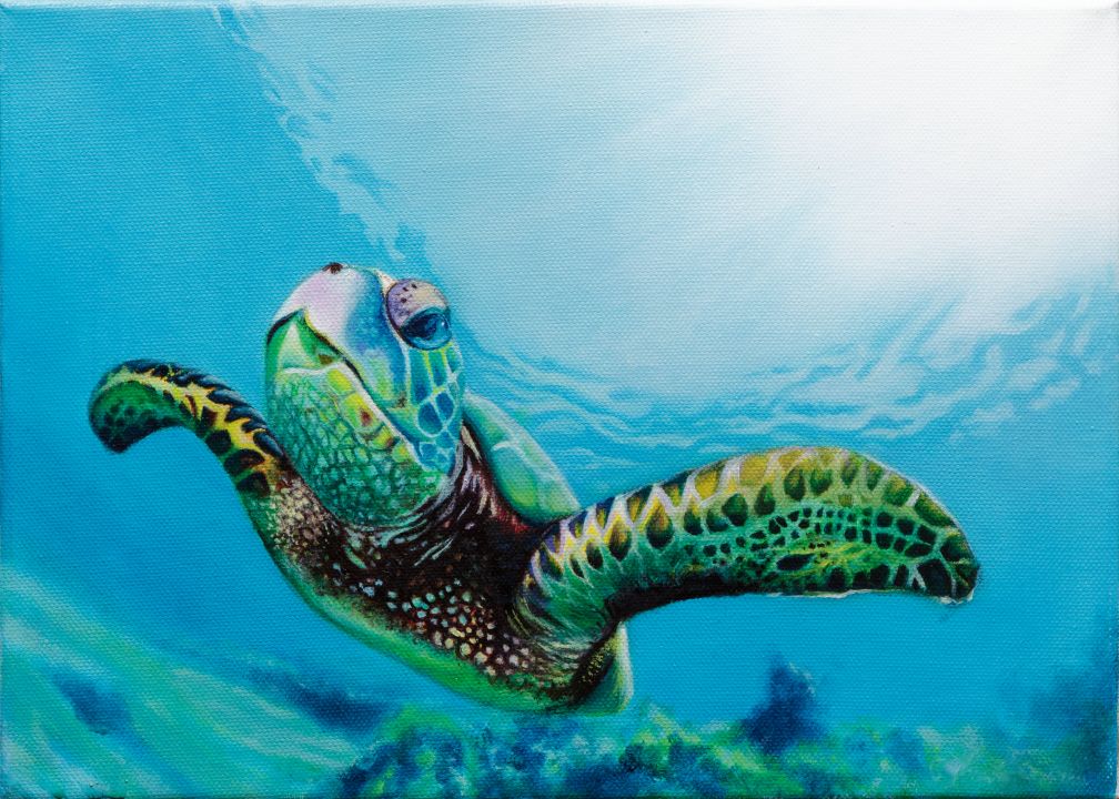 Paint_oil_quadro_olio_tela_fish_tartaruga_marina_natura_mare_dipinto-1008×720