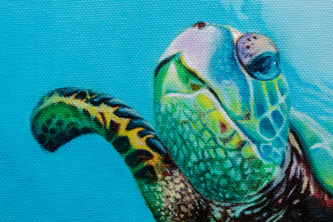 Paint_oil_quadro_olio_tela_fish_tartaruga_marina_natura_mare_pittura-1080×720