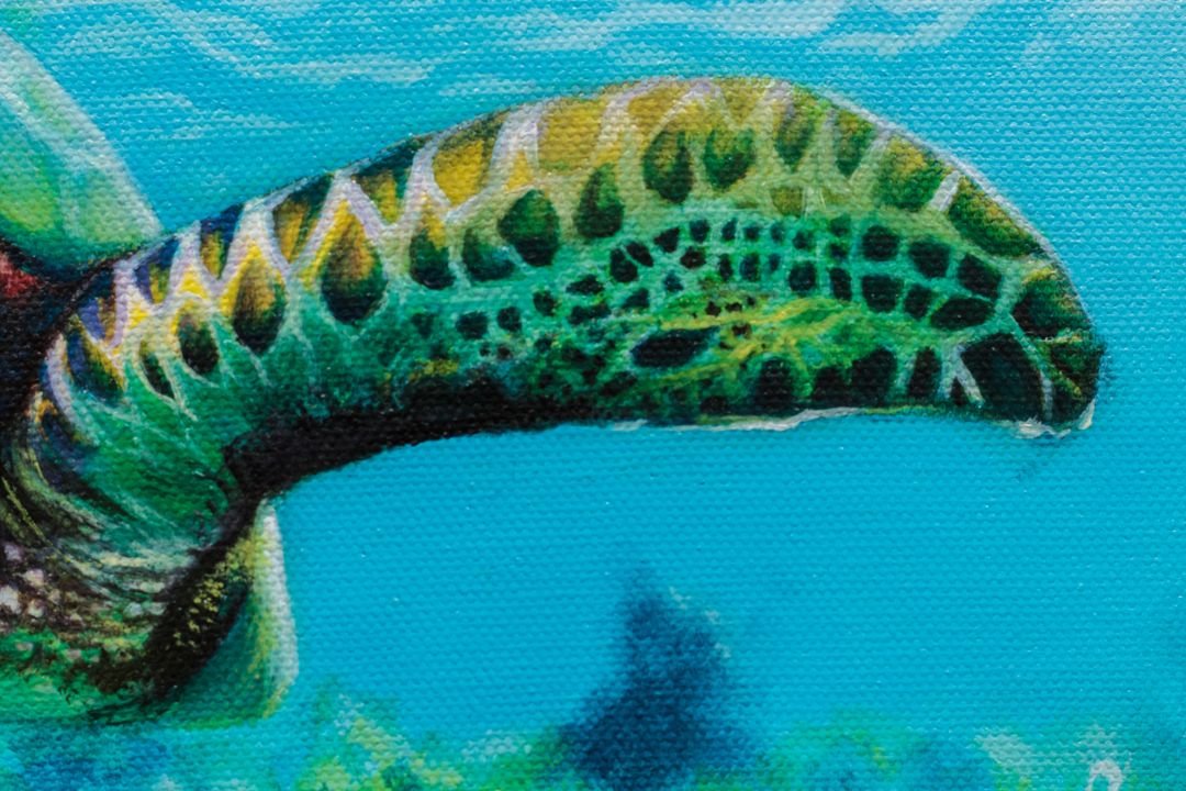 Paint_oil_quadro_olio_tela_fish_tartaruga_marina_natura_mare_pittura_pittore_roma-1080×720