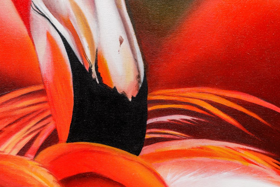 fenicottero_flamingo_oil_paint_quadro_dipinto_oilo_tela_animal_nature_iperrealismo_hyperrealism_hyperealism_realismo_iper_realism_detail_animali-1080×720