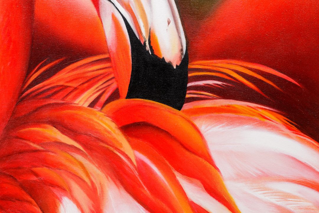 fenicottero_flamingo_oil_paint_quadro_dipinto_oilo_tela_animal_nature_iperrealismo_hyperrealism_hyperealism_realismo_iper_realism_detail_becco-1080×720