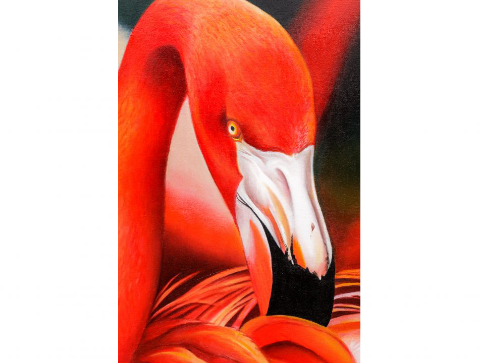 fenicottero_flamingo_oil_paint_quadro_dipinto_oilo_tela_animal_nature_iperrealismo_hyperrealism_hyperealism_realismo_realism_detail-480×720