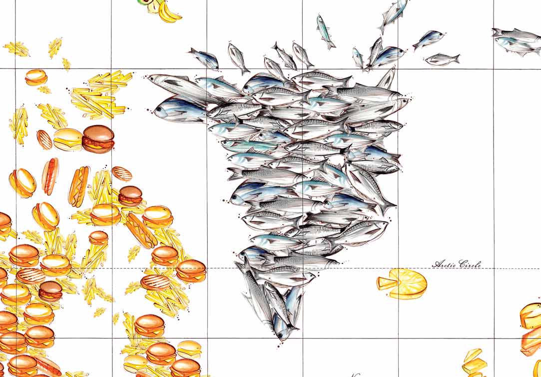 fish-food